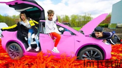 小熊请上车下载安装 (图2)