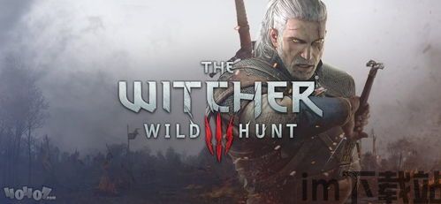 奇妙的巫师 (图2) 奇妙的巫师 (图2)