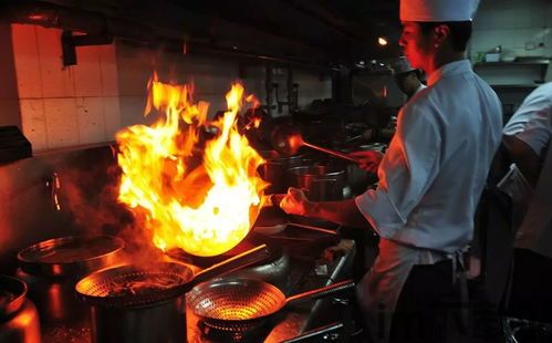 白菜游戏app免费版 (图2) 白菜游戏app免费版 (图2)