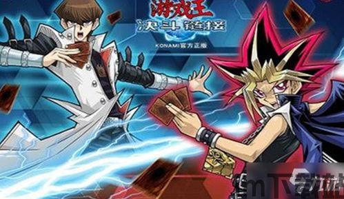 独轮车王5 (图3)